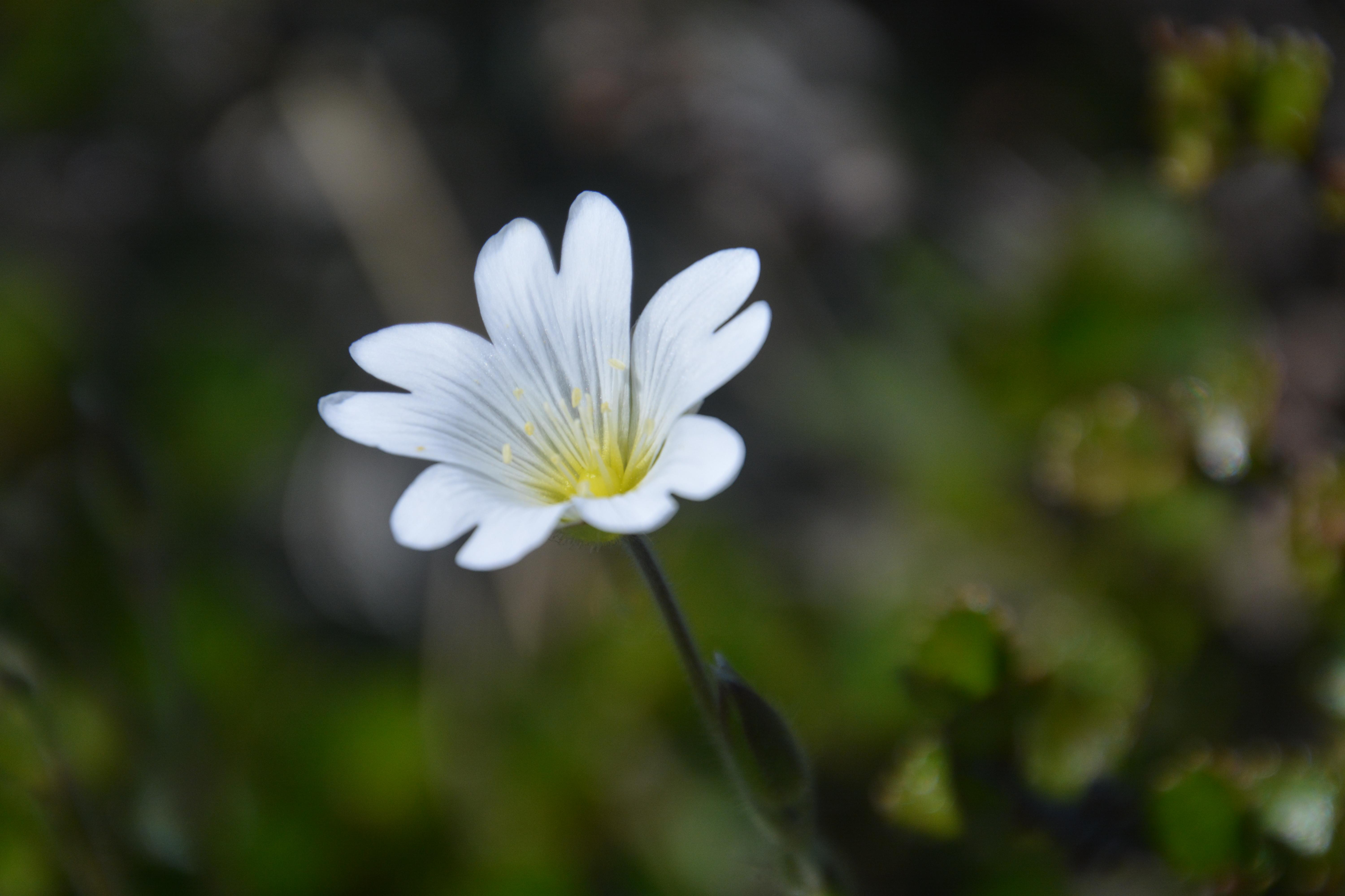Banner Img